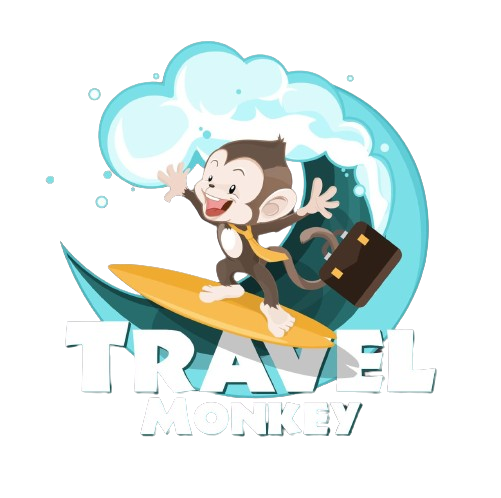 Traval Monkey